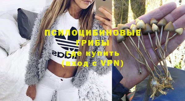 гашиш Абаза