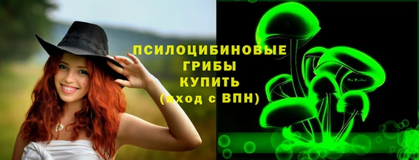 индика Абдулино