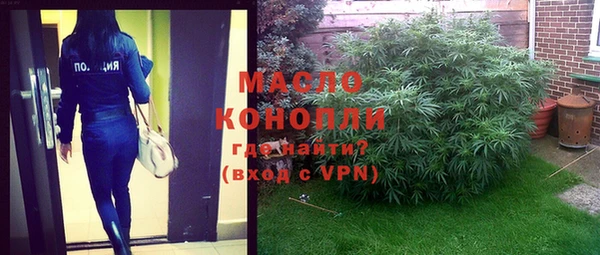 индика Абдулино