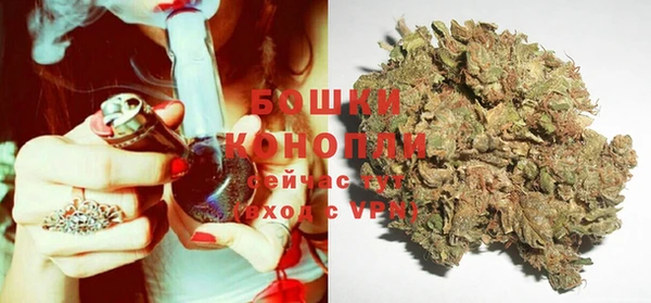 ECSTASY Новозыбков