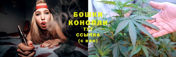 PSILOCYBIN Алексеевка