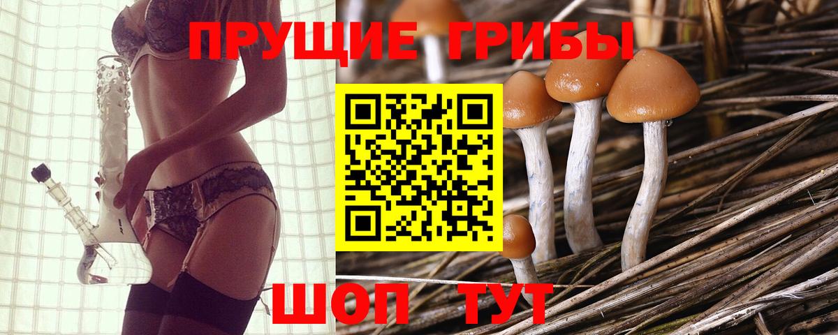 Магадан  Галлюциногенные грибы Psilocybine cubensis  Вход с VPN 